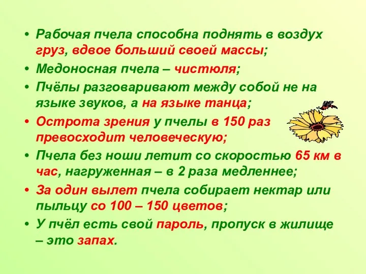 Рабочая пчела способна поднять в воздух груз, вдвое больший своей массы;