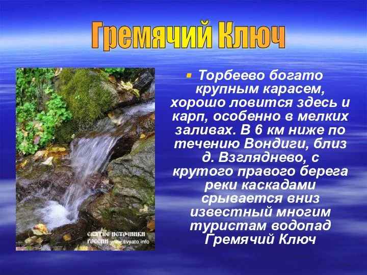 Торбеево богато крупным карасем, хорошо ловится здесь и карп, особенно в