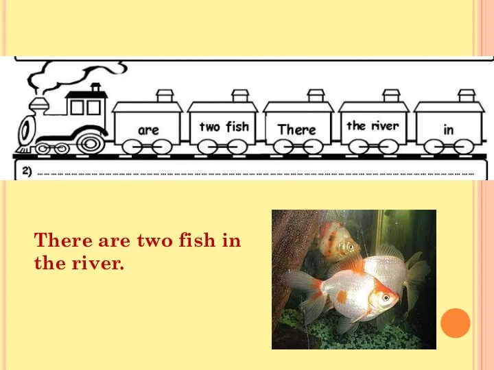 There are two fish in the river.