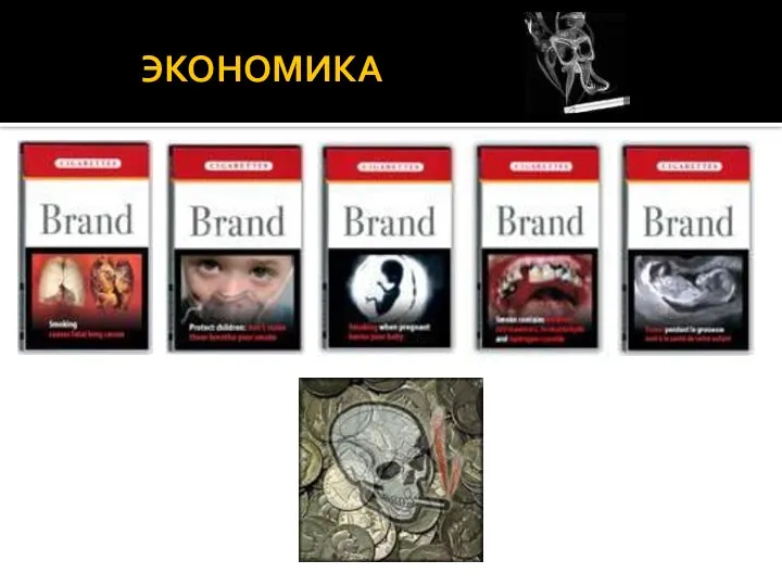 ЭКОНОМИКА