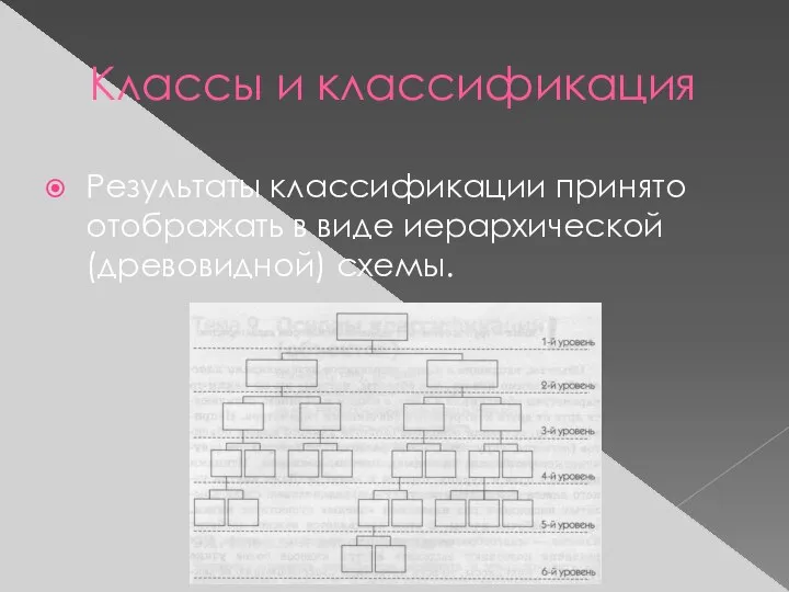 Классы и классификация Результаты классификации принято отображать в виде иерархической (древовидной) схемы.