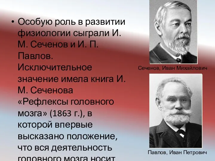 Особую роль в развитии физиологии сыграли И.М. Сеченов и И. П.