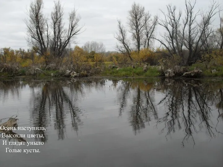 Осень наступила, Высохли цветы, И глядят уныло Голые кусты.