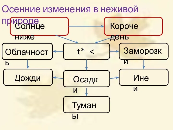 Осенние изменения в неживой природе Солнце ниже Короче день t* Заморозки Иней Осадки Туманы Облачность Дожди