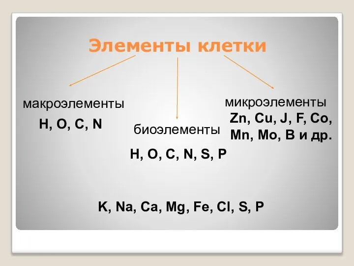 Элементы клетки микроэлементы биоэлементы макроэлементы H, O, C, N H, O,