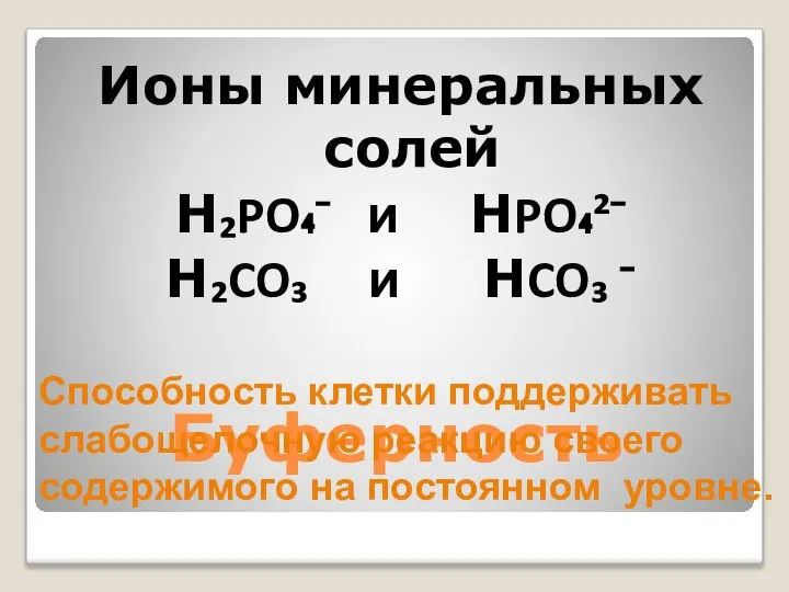 Буферность Ионы минеральных солей H₂PO₄⁻ и HPO₄²⁻ H₂CO₃ и HCO₃ ⁻