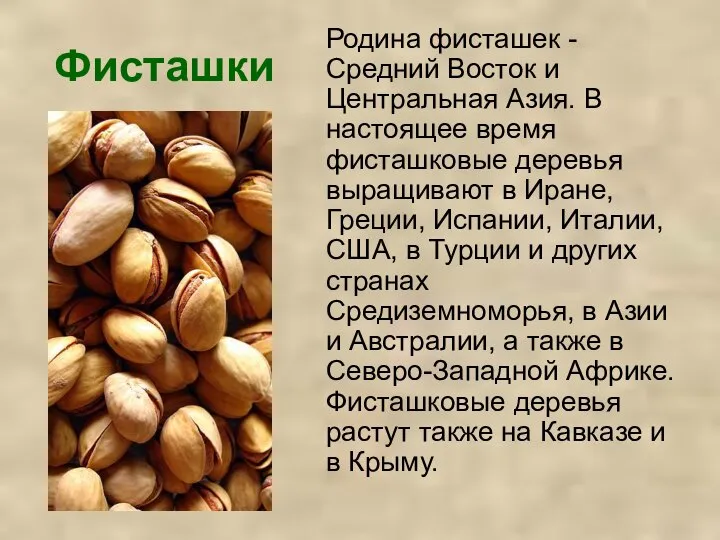 Фисташки Родина фисташек - Средний Восток и Центральная Азия. В настоящее