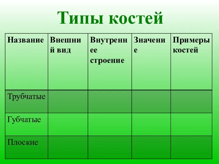 Типы костей