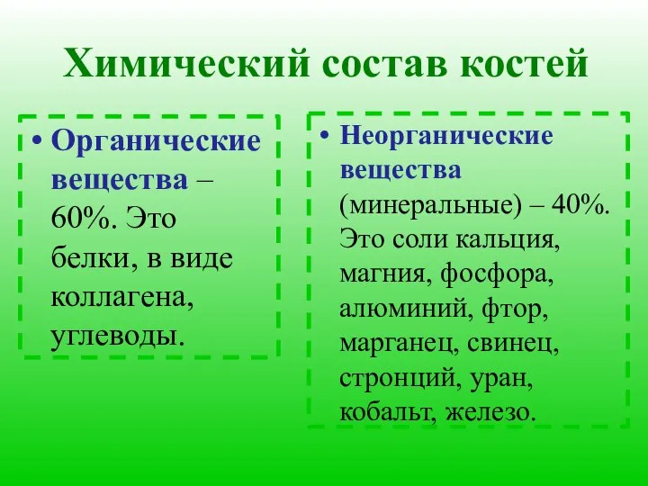 Химический состав костей Органические вещества – 60%. Это белки, в виде