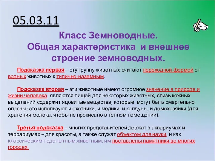 05.03.11 Класс Земноводные. Общая характеристика и внешнее строение земноводных. Подсказка первая