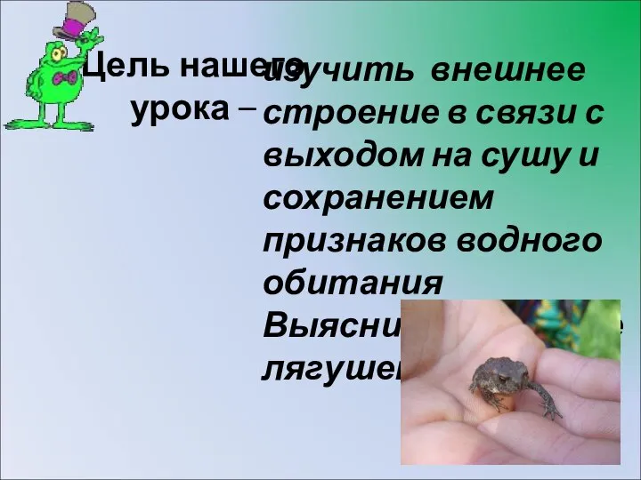 Цель нашего урока – изучить внешнее строение в связи с выходом