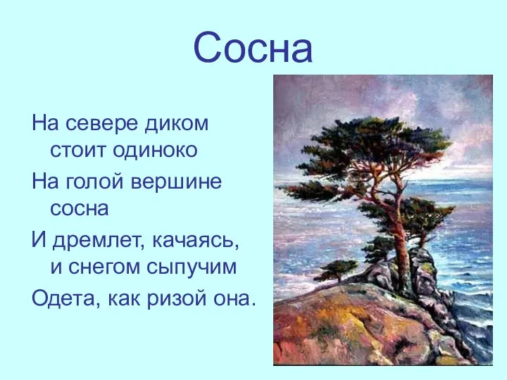 Сосна На севере диком стоит одиноко На голой вершине сосна И