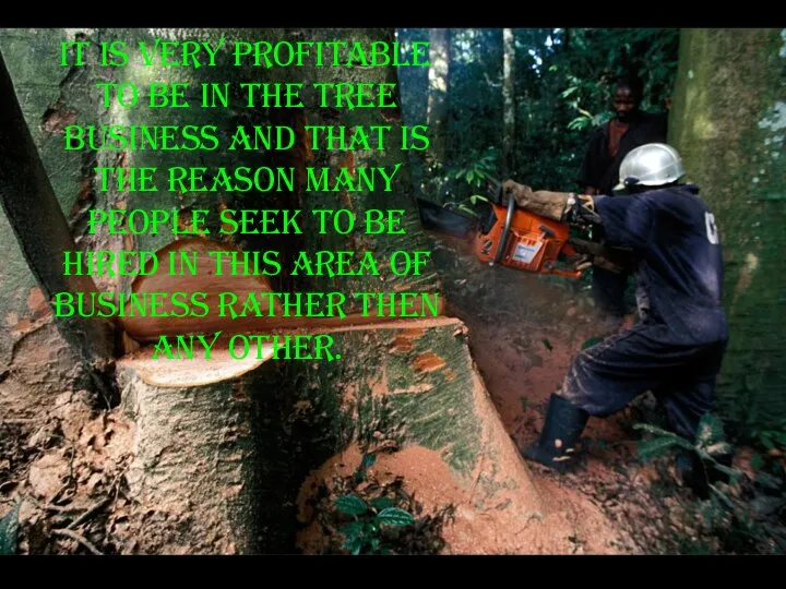 It is very profitable to be in the tree business and