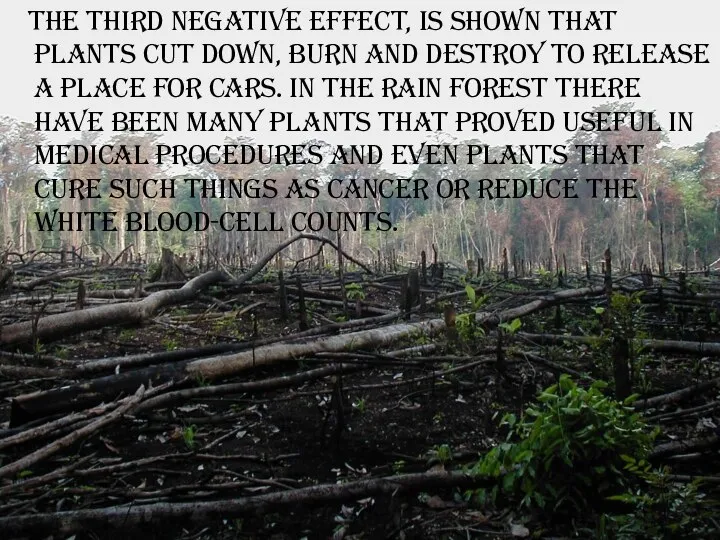 The third negative effect, is shown that plants cut down, burn