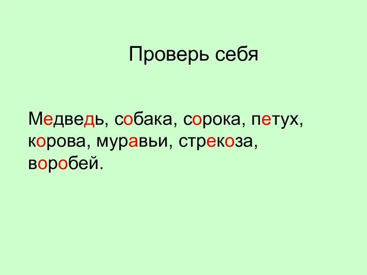 Проверь себя Медведь, собака, сорока, петух, корова, муравьи, стрекоза, воробей.