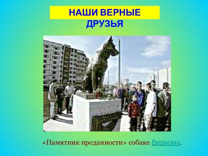 НАШИ ВЕРНЫЕ ДРУЗЬЯ «Памятник преданности» собаке Верному.