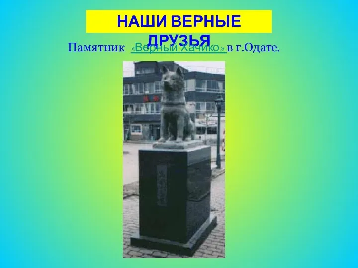 НАШИ ВЕРНЫЕ ДРУЗЬЯ Памятник «Верный Хачико» в г.Одате.