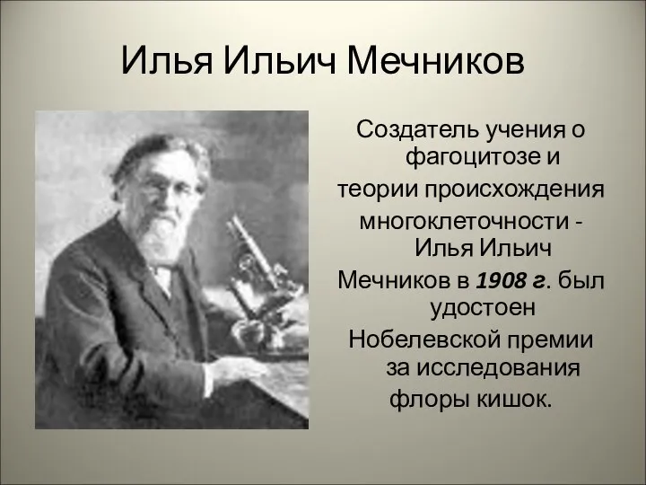 Илья Ильич Мечников Создатель учения о фагоцитозе и теории происхождения многоклеточности