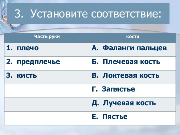 3. Установите соответствие: