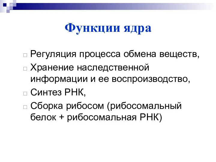 Функции ядра Регуляция процесса обмена веществ, Хранение наследственной информации и ее