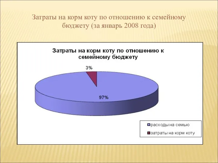 Затраты на корм коту по отношению к семейному бюджету (за январь 2008 года)