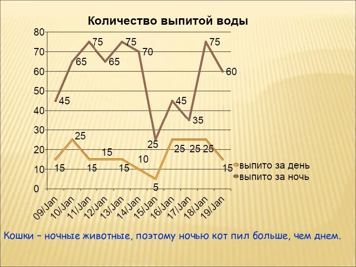 Кошки – ночные животные, поэтому ночью кот пил больше, чем днем.