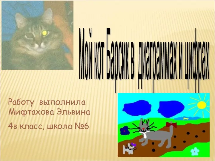 Мой кот Барсик в диаграммах и цифрах Работу выполнила Мифтахова Эльвина 4в класс, школа №6