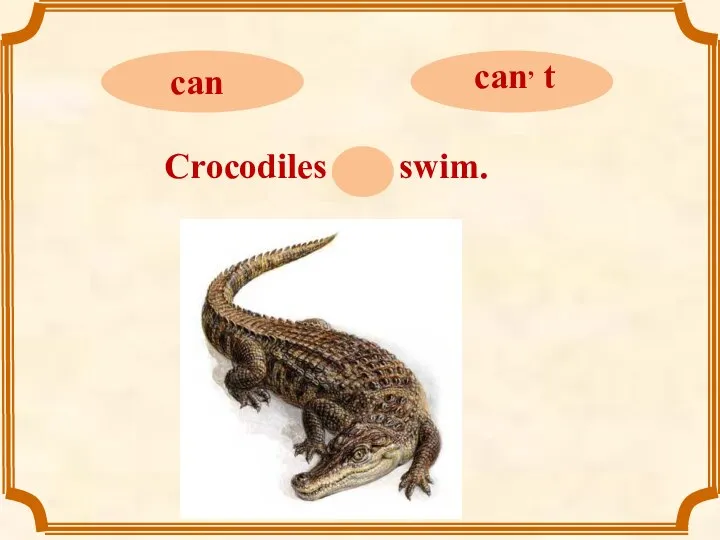 Crocodiles can swim.