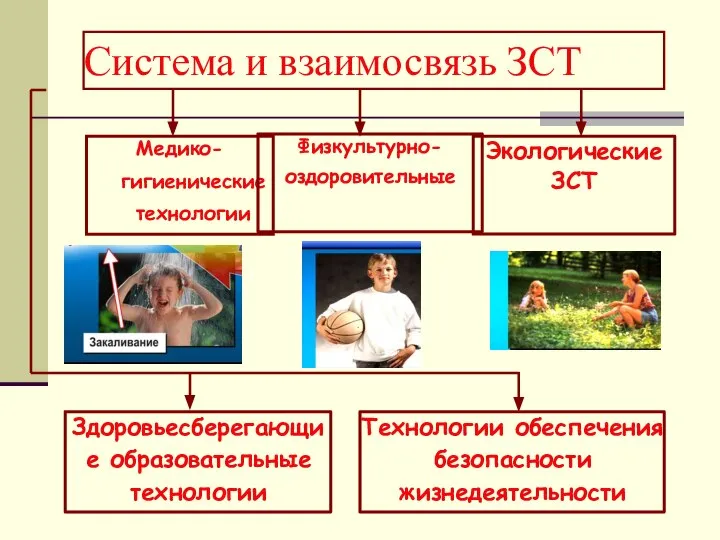 Система и взаимосвязь ЗСТ Медико-гигиенические технологии