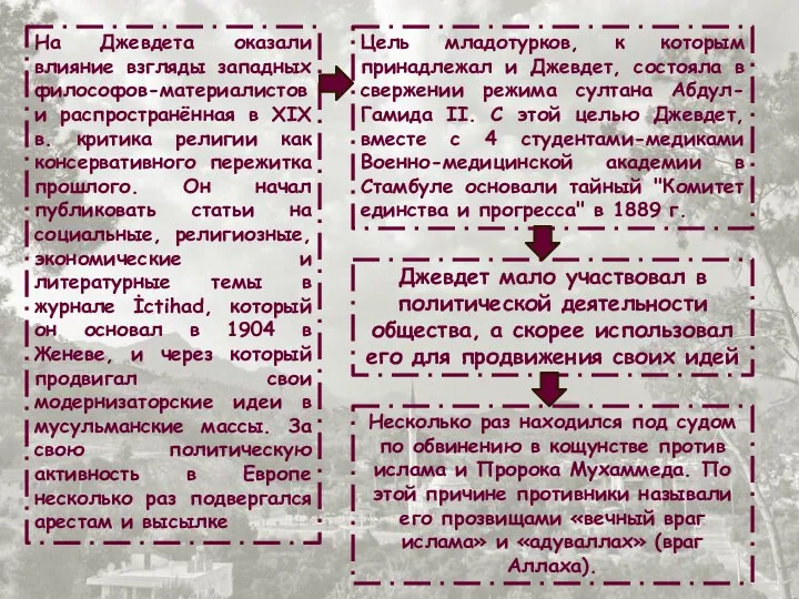 На Джевдета оказали влияние взгляды западных философов-материалистов и распространённая в XIX