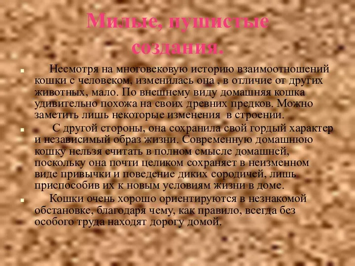 Милые, пушистые создания. Несмотря на многовековую историю взаимоотношений кошки с человеком,