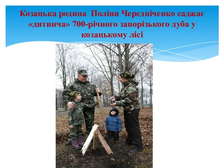 Козацька родина Поліни Чередніченко саджає «дитинча» 700-річного запорізького дуба у козацькому лісі