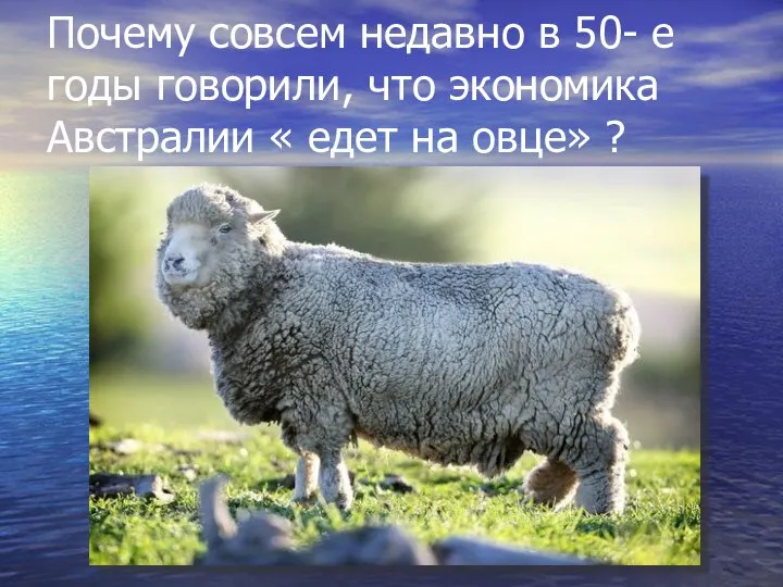 Почему совсем недавно в 50- е годы говорили, что экономика Австралии « едет на овце» ?