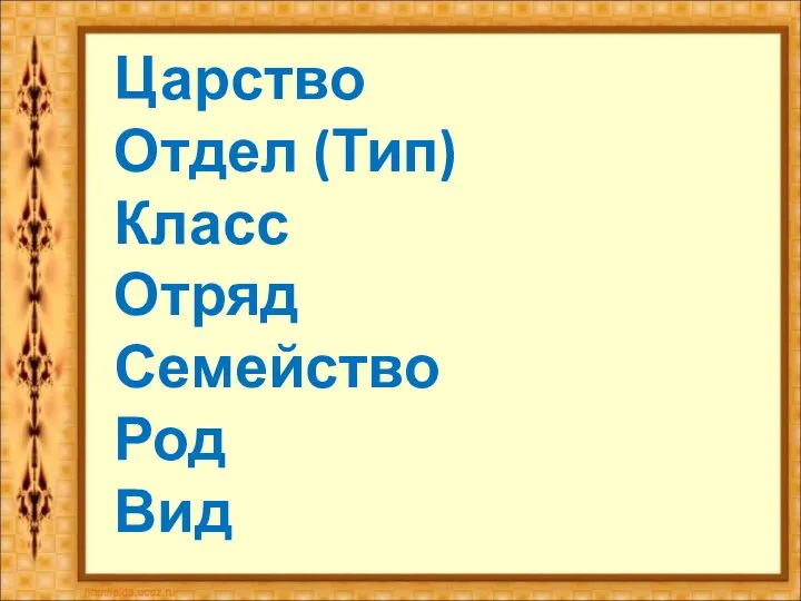 Царство Отдел (Тип) Класс Отряд Семейство Род Вид