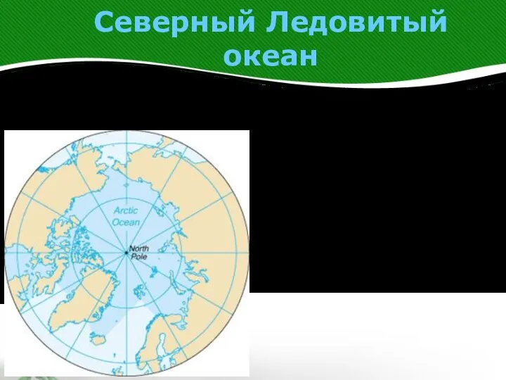 Северный Ледовитый океан Се́верный Ледови́тый океа́н — наименьший по площади океан