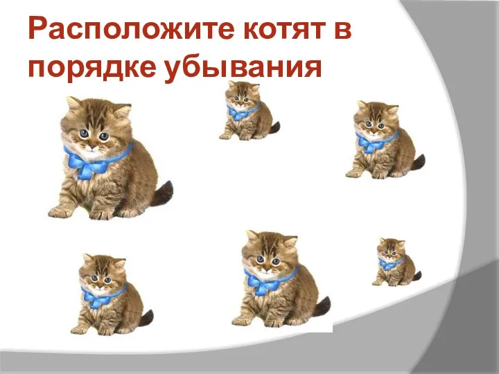 Расположите котят в порядке убывания