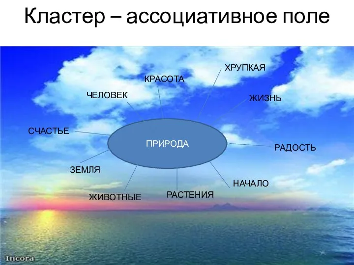 Кластер – ассоциативное поле ПРИРОДА КРАСОТА ЖИЗНЬ НАЧАЛО РАСТЕНИЯ ЖИВОТНЫЕ ЗЕМЛЯ ЧЕЛОВЕК РАДОСТЬ СЧАСТЬЕ ХРУПКАЯ