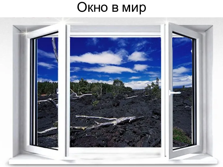 Окно в мир