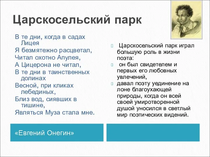 Царскосельский парк «Евгений Онегин» Царскосельский парк играл большую роль в жизни