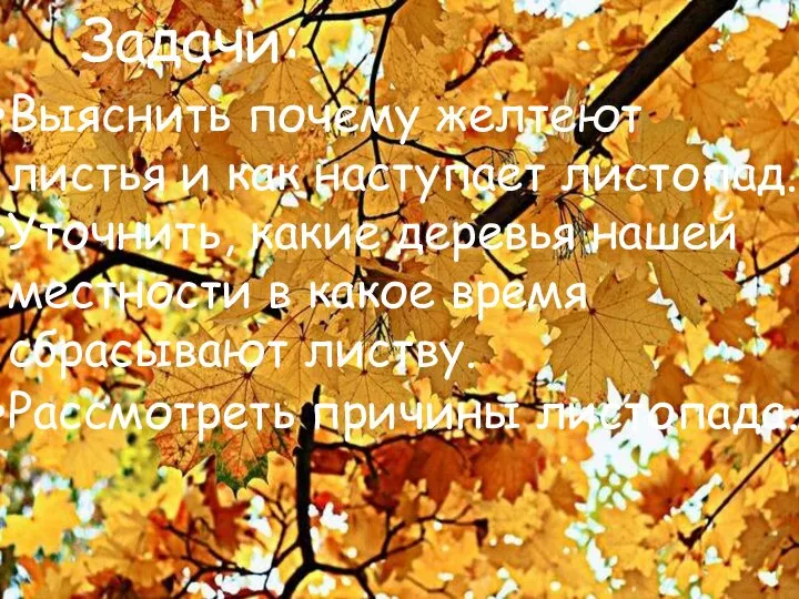 Выяснить почему желтеют листья и как наступает листопад. Уточнить, какие деревья