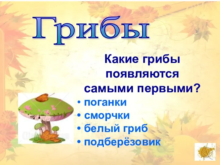 Грибы Какие грибы появляются самыми первыми? поганки сморчки белый гриб подберёзовик