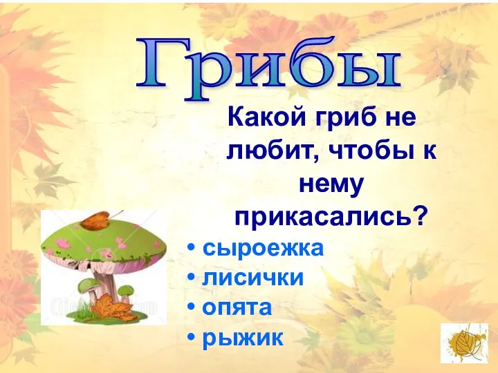 Грибы Какой гриб не любит, чтобы к нему прикасались? сыроежка лисички опята рыжик