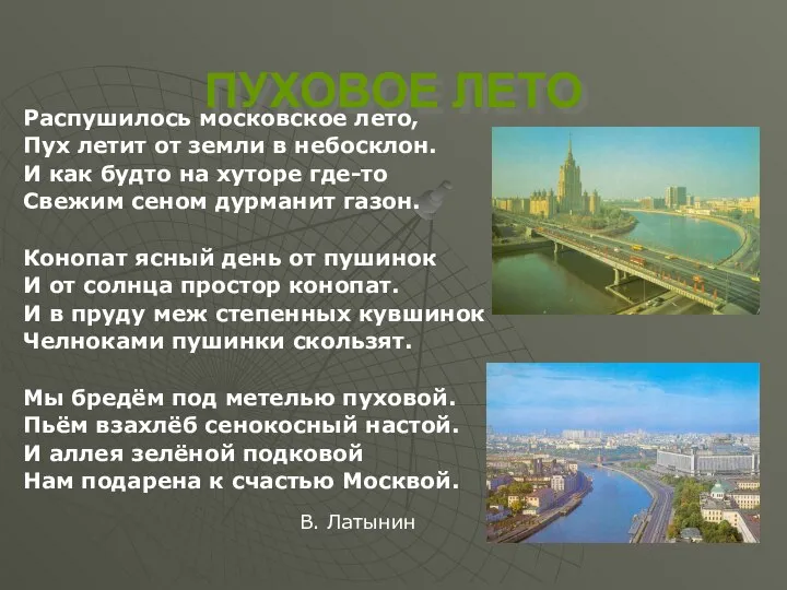 ПУХОВОЕ ЛЕТО Распушилось московское лето, Пух летит от земли в небосклон.