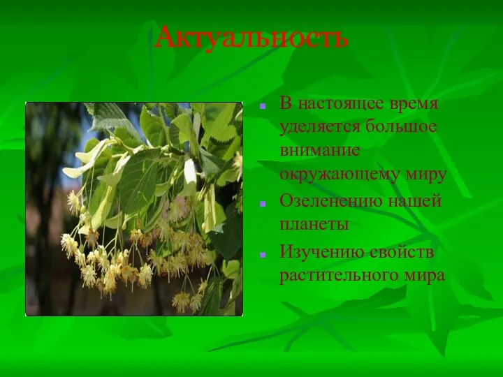 Актуальность В настоящее время уделяется большое внимание окружающему миру Озеленению нашей планеты Изучению свойств растительного мира