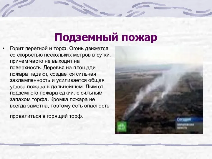 Подземный пожар Горит перегной и торф. Огонь движется со скоростью нескольких