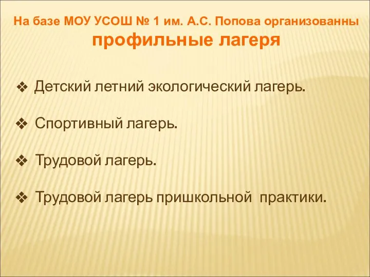 На базе МОУ УСОШ № 1 им. А.С. Попова организованны профильные