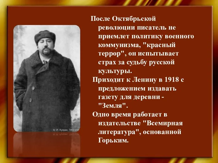 После Октябрьской революции писатель не приемлет политику военного коммунизма, "красный террор",