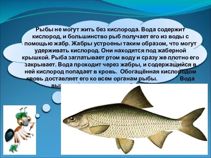 Рыбы не могут жить без кислорода. Вода содержит кислород, и большинство