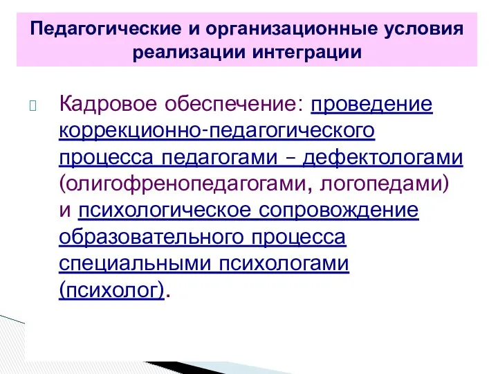 Кадровое обеспечение: проведение коррекционно-педагогического процесса педагогами – дефектологами (олигофренопедагогами, логопедами) и