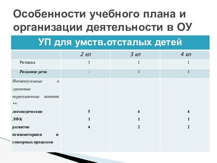 Особенности учебного плана и организации деятельности в ОУ